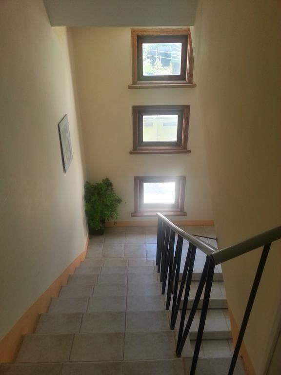 Guest House Bedrock ベログラドチク エクステリア 写真